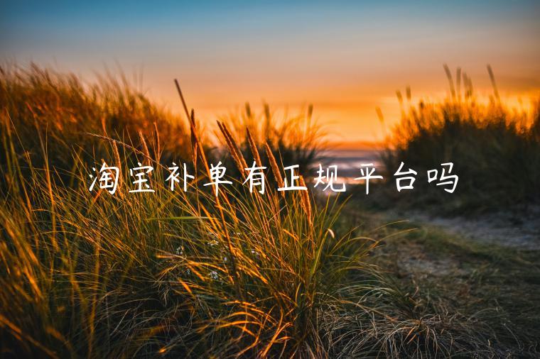 淘寶補(bǔ)單有正規(guī)平臺(tái)嗎